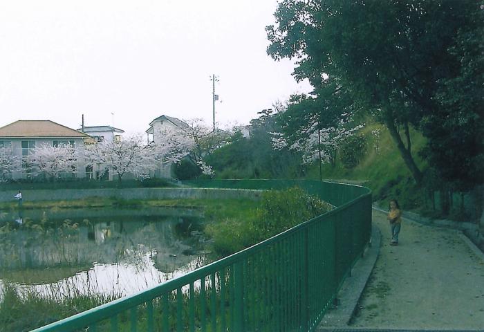 写真：塩屋台公園の池の北側の通路