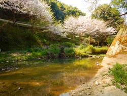 写真：苅藻川