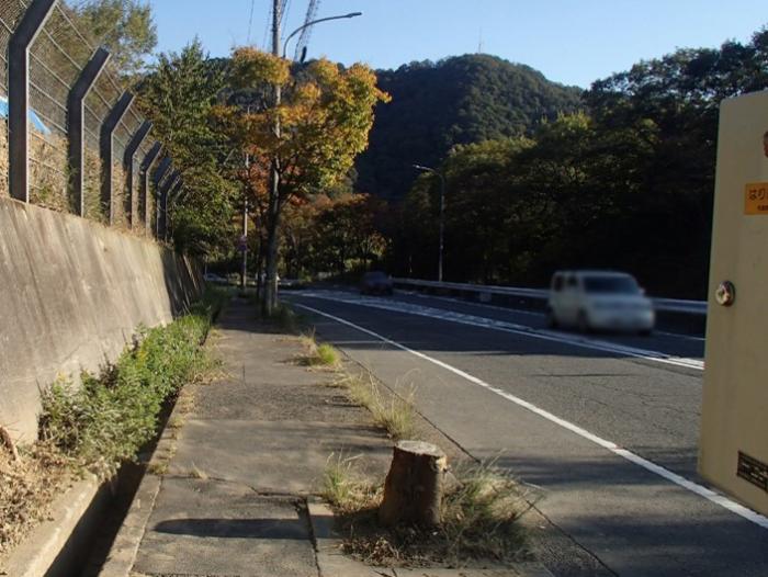 歩道から見た実施中の写真