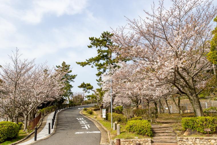 須磨浦公園