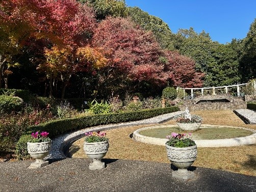 花の庭園全景